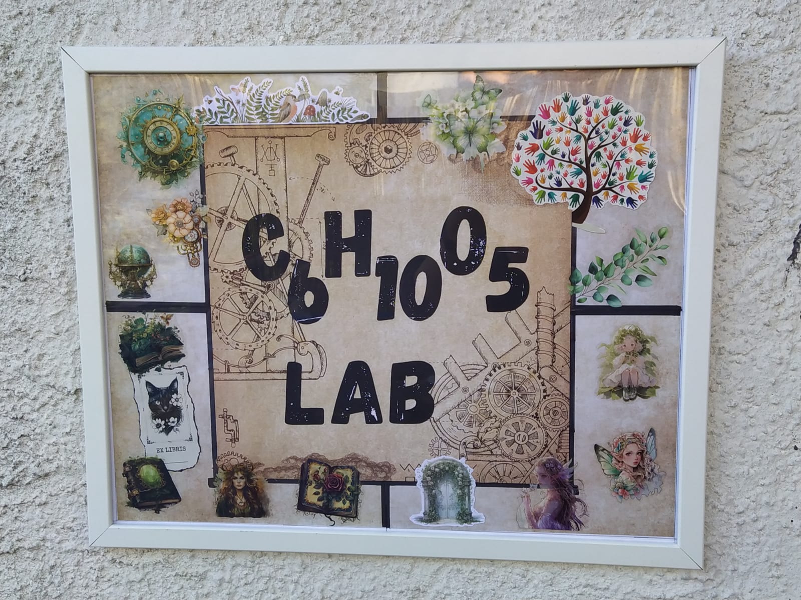 c6h10o5 lab